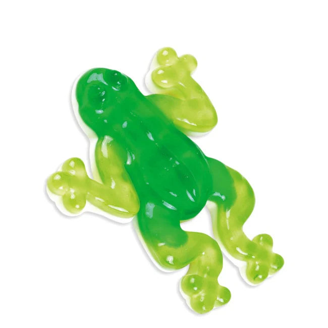 Grenouilles lisses XXL (unité)