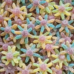 Octopus acidulés 100 g