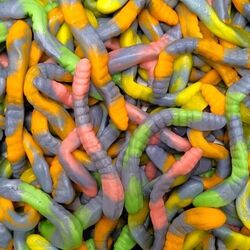 Serpents bicolores (100g)